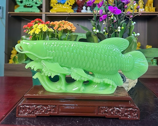 CÁ RÔNG PHÔNG THỦY SIZE NHỎ